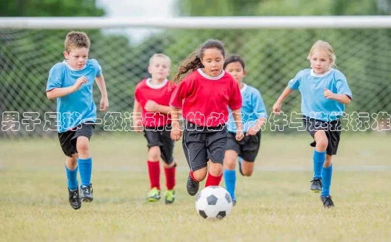 欧陆平台测速地址每日互动男子足球一级运动员的必备条件与选拔标准