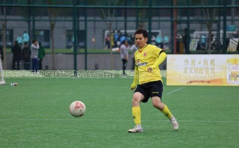 欧陆注册手机版百度网盘企业版靳东是否为足球运动员的粉丝？揭秘其对足球运动员的喜爱程度