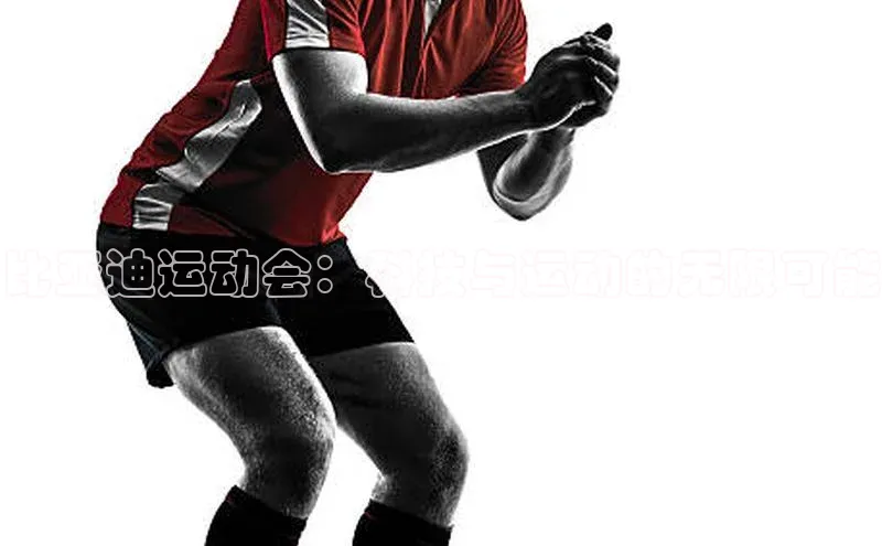 欧陆娱乐注册代理皮阿诺比亚迪运动会：科技与运动的无限可能