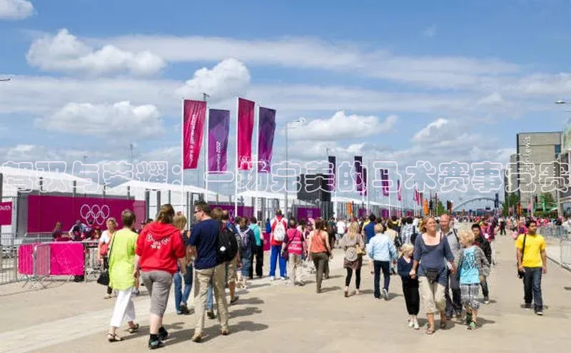 驾驭与荣耀：一场完美的马术赛事竞赛