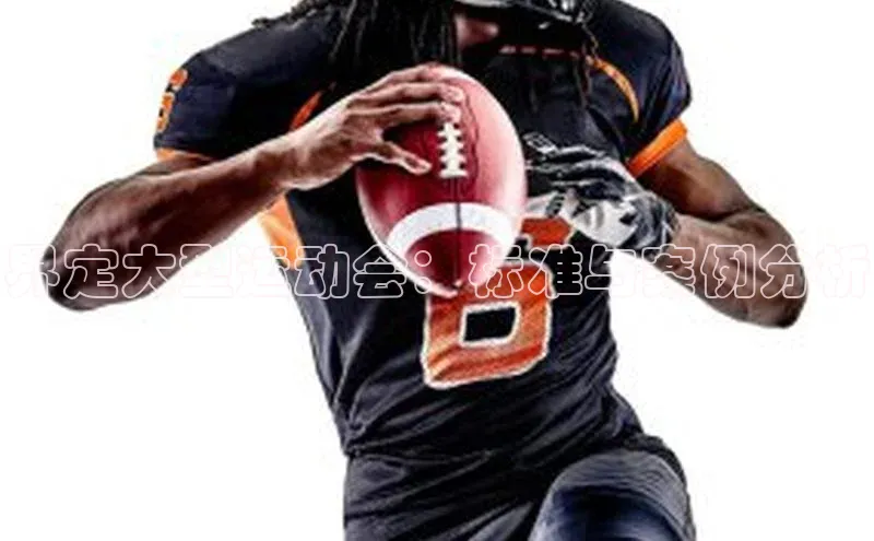 界定大型运动会：标准与案例分析