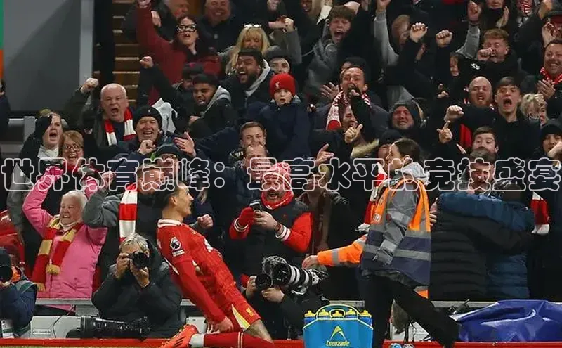 世界体育巅峰：最高水平的竞技盛宴