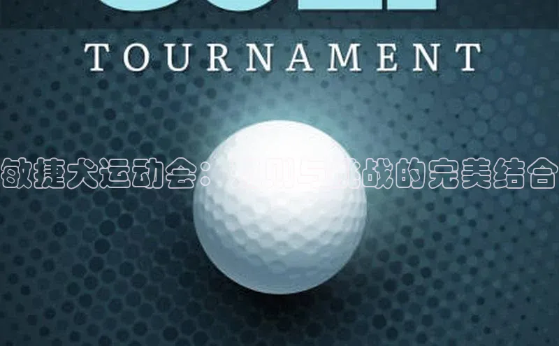 敏捷犬运动会：规则与挑战的完美结合