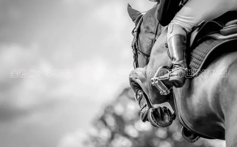 全视角：中国最大的体育盛事——2023年足球世界杯特稿