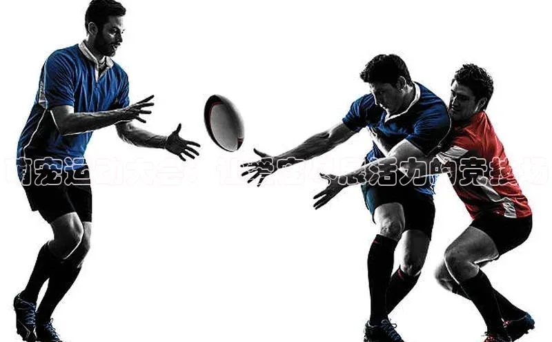 萌宠运动大会：让爱宠尽展活力的竞技场