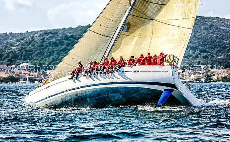 《运动赛事中的数据分析与决策智慧》