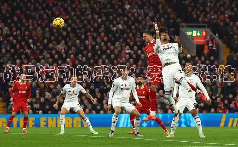 战马运动的盛况：赛事多样性