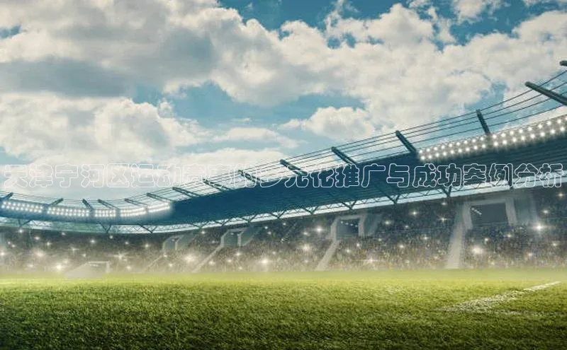 天津宁河区运动赛事的多元化推广与成功案例分析