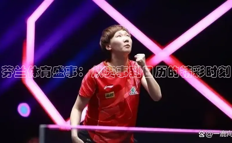 芬兰体育盛事：从赛事到日历的精彩时刻