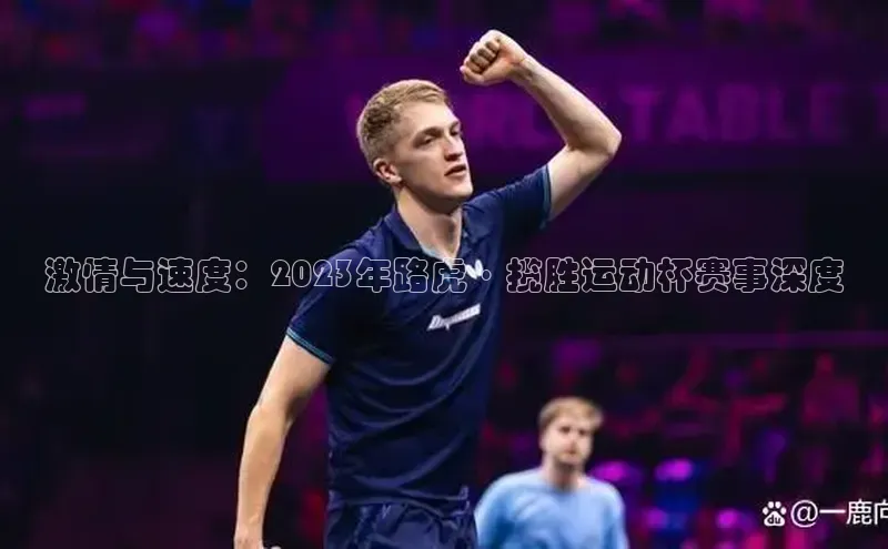 激情与速度：2023年路虎·揽胜运动杯赛事深度