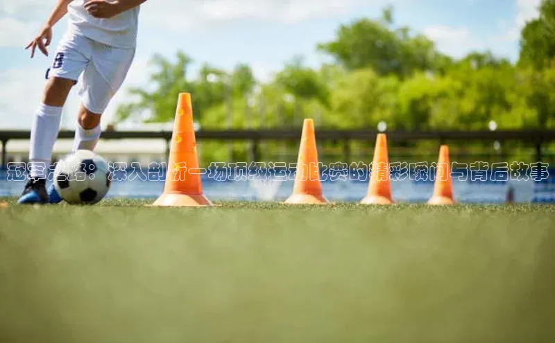 欧陆注册点登录入口官网