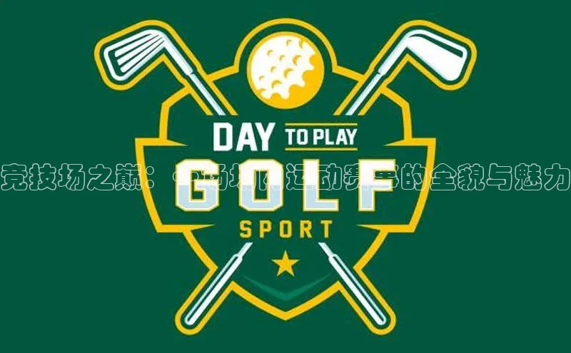 竞技场之巅：一场场内运动赛事的全貌与魅力